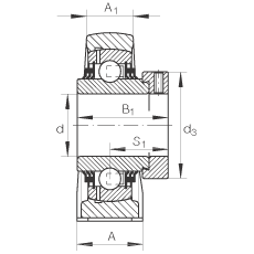 直立式軸承座單元 TSHE40-N, 鑄鐵軸承座，帶偏心鎖圈的外球面球軸承，T 型密封